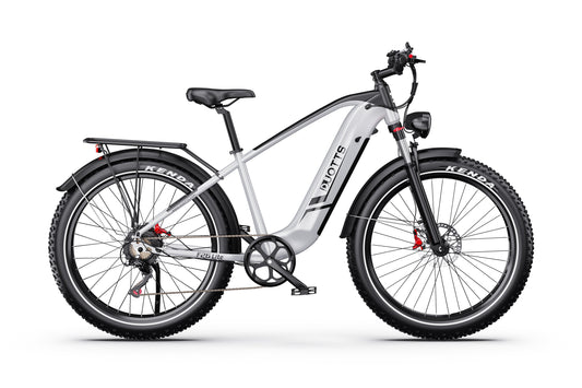 DUOTTS F26 750W*2 Elektrofahrrad