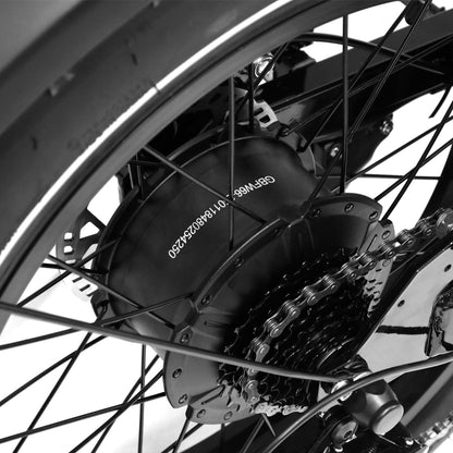 Onesport W66 Vintage Fat Tire 500W Motor Electric Bike