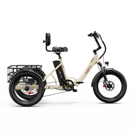 OneSport OT30 Pro Electric Tricycle