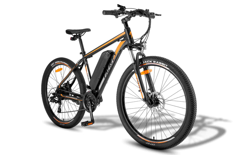 FAFREES F28 MT 250W Vélo électrique