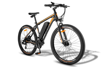 FAFREES F28 MT 250W Vélo électrique