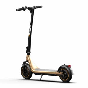 Hikerboy Curtis Dual Gold Electric Scooter | 1000W Peak