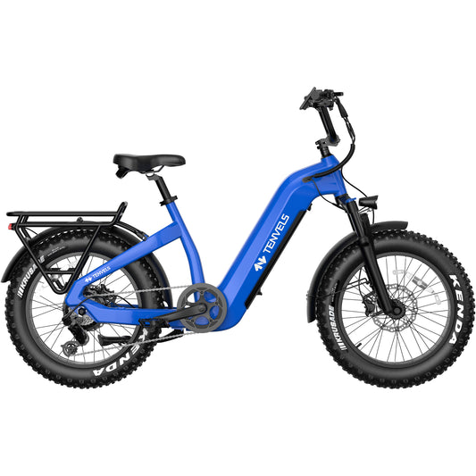 SAMEBIKE RS-A01 Plus 750W Elektrische Stadsfiets