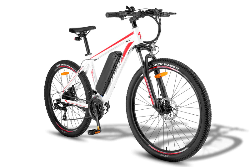 FAFREES F28 MT 250W Vélo électrique
