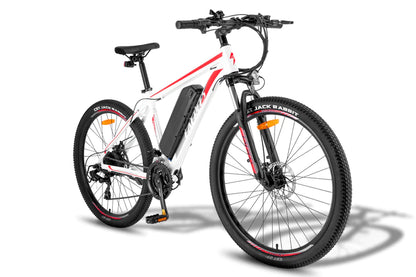 FAFREES F28 MT 250W Vélo électrique
