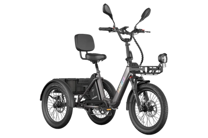 FAFREES F20 Mate II 250W Electric Tricycle