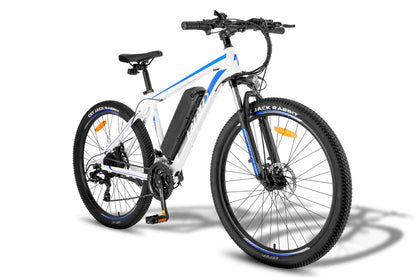 FAFREES F28 MT 250W Vélo électrique