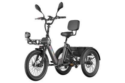 FAFREES F20 Mate II 250W Electric Tricycle