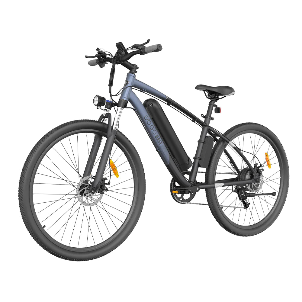 GOGOBEST GM30 750W Elektrische Fiets