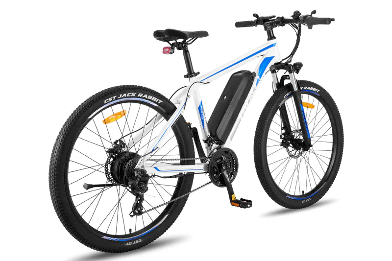 FAFREES F28 MT 250W Vélo électrique