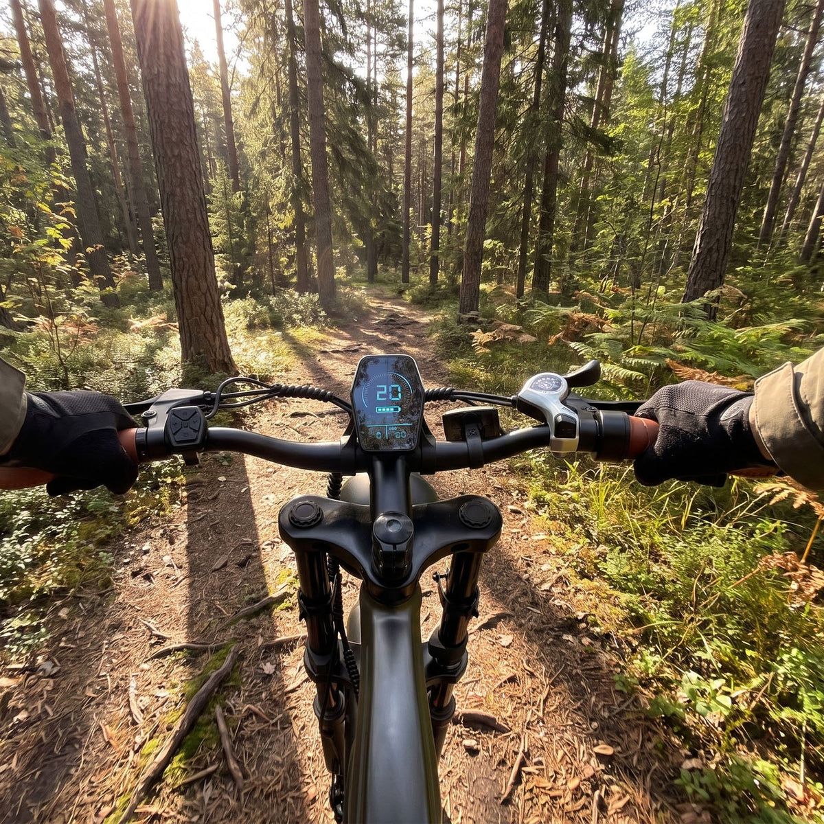 DYU M20 All-Terrain Long-Range Electric Bike