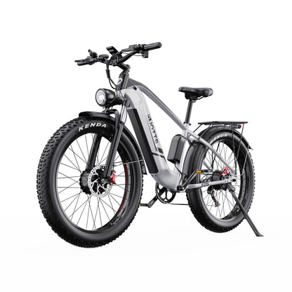 DUOTTS F26 750W*2 Electric Bike