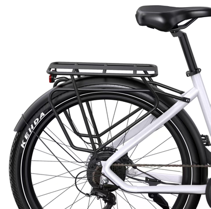 OneSport WT05 27.5 inches Electric Bike