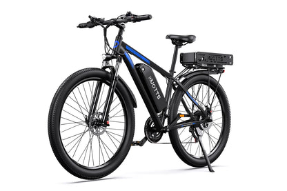 DUOTTS C29-K Dual-Battery Electric Bike