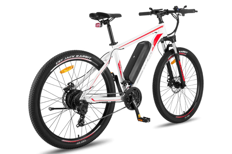 FAFREES F28 MT 250W Vélo électrique