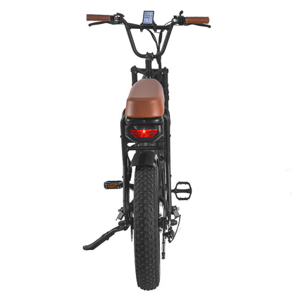 Vélo de montagne électrique SAIBAIKE FXH006 750W à gros pneus