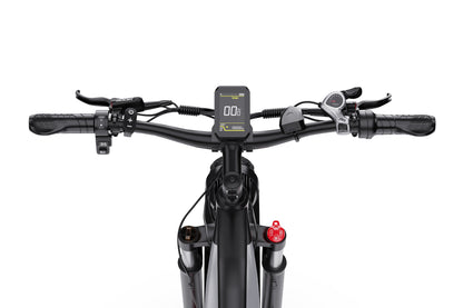 DUOTTS F26 750W*2 Elektrofahrrad