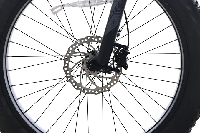 Vélo électrique TOTEM Bulldog 750W