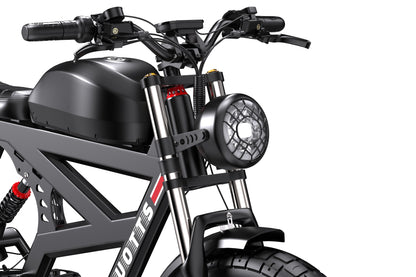 DUOTTS F20 Vélo électrique puissant avec moteur 750W (Peak 1000W)