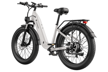 FAFREES F26 Rover elektrinis dviratis – produkto vaizdas 10