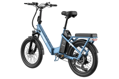 Fafrees F20+ Langeafstand All-Terrain Elektrische Fiets met Brede Banden