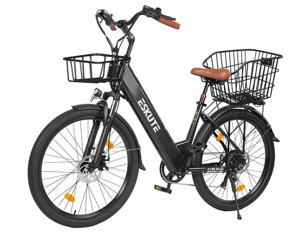 Eskute C100 Plus City E-Bike