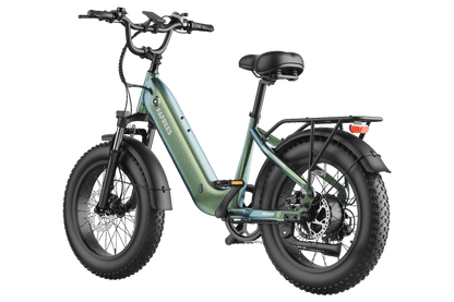FAFREES F20 Rover elektrinis dviratis – produkto vaizdas 28