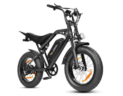 Eskute V202 Retro E-Bike