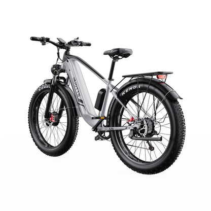 DUOTTS F26 750W*2 Electric Bike