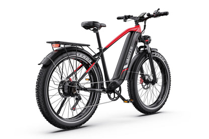 DUOTTS F26 750W*2 Elektrofahrrad