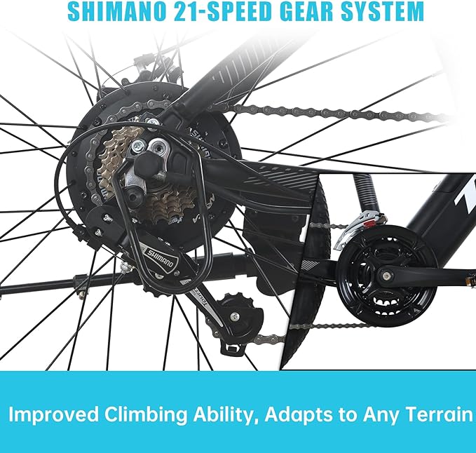 TOTEM Volcano 500W Electric Bicycle