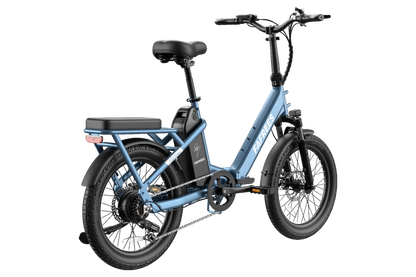 Fafrees F20+ Langeafstand All-Terrain Elektrische Fiets met Brede Banden