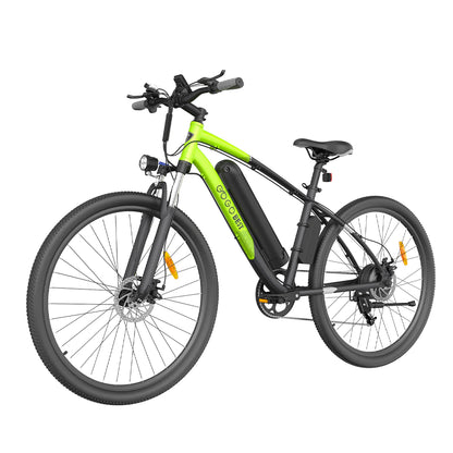 GOGOBEST GM30 750W Elektrische Fiets