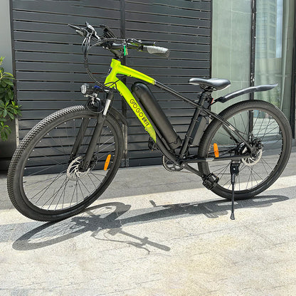 GOGOBEST GM30 750W Elektrische Fiets