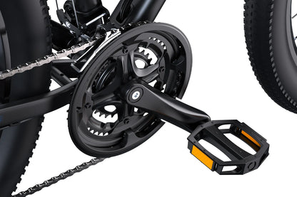 DUOTTS C29L 29-Inch Long-Range Electric Bike – Up to 100 km Range