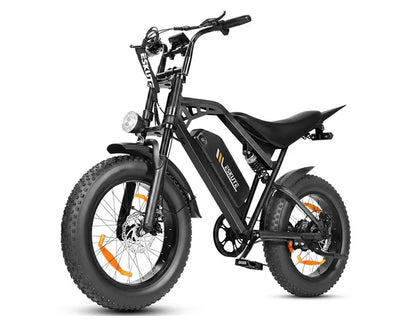 Eskute V202 Retro E-Bike