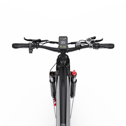 DUOTTS F26 750W*2 Electric Bike