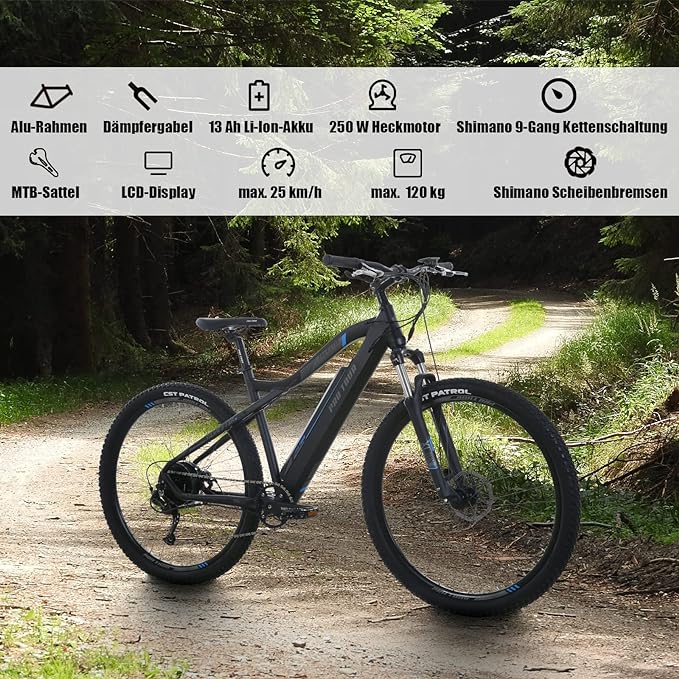ProTour M920 250W Electric Bicycle