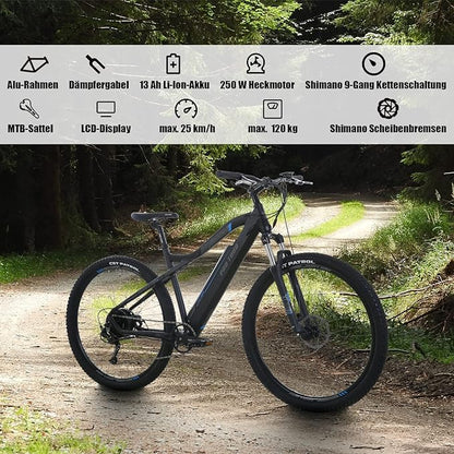 ProTour M920 250W Electric Bicycle