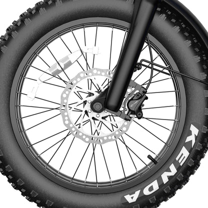 SAMEBIKE RS-A01 Plus 750W Elektrische Stadsfiets