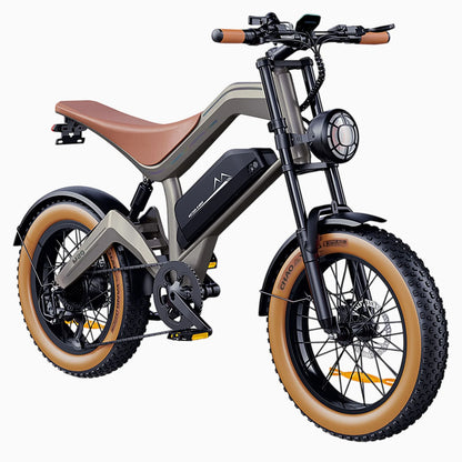 DYU M20 All-Terrain Long-Range Electric Bike