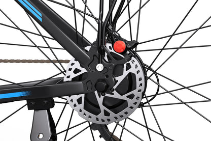 DUOTTS C29L 29-Inch Long-Range Electric Bike – Up to 100 km Range