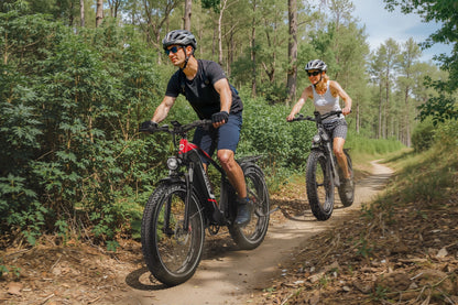 DUOTTS F26 750W*2 Elektrofahrrad