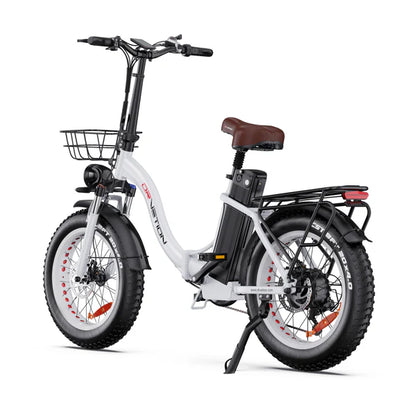 DrVeTion CT20 750W 45km/h Elektrische Fat Bike