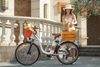 DYU C6 Pro 26-inch 80km Range City Electric Mountain Bike