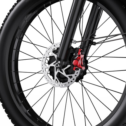 DUOTTS F26 750W*2 Electric Bike