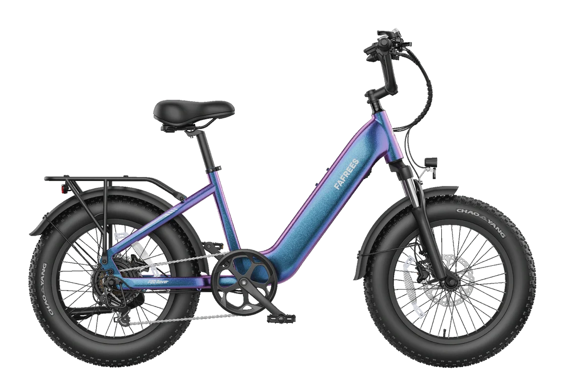 FAFREES F20 Rover 250W Fat Tire Electric Bike
