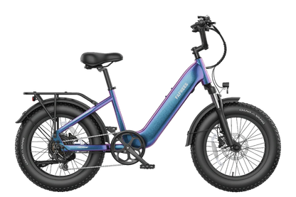 FAFREES F20 Rover 250W Fat Tire Electric Bike