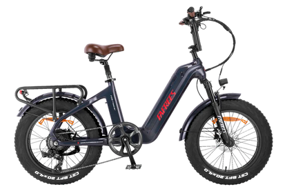 Vélo électrique FAFREES F20 Master 500 W (en continu) 690 W (en crête)