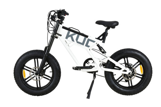 KUGOO T01 500W Electric Bicycle